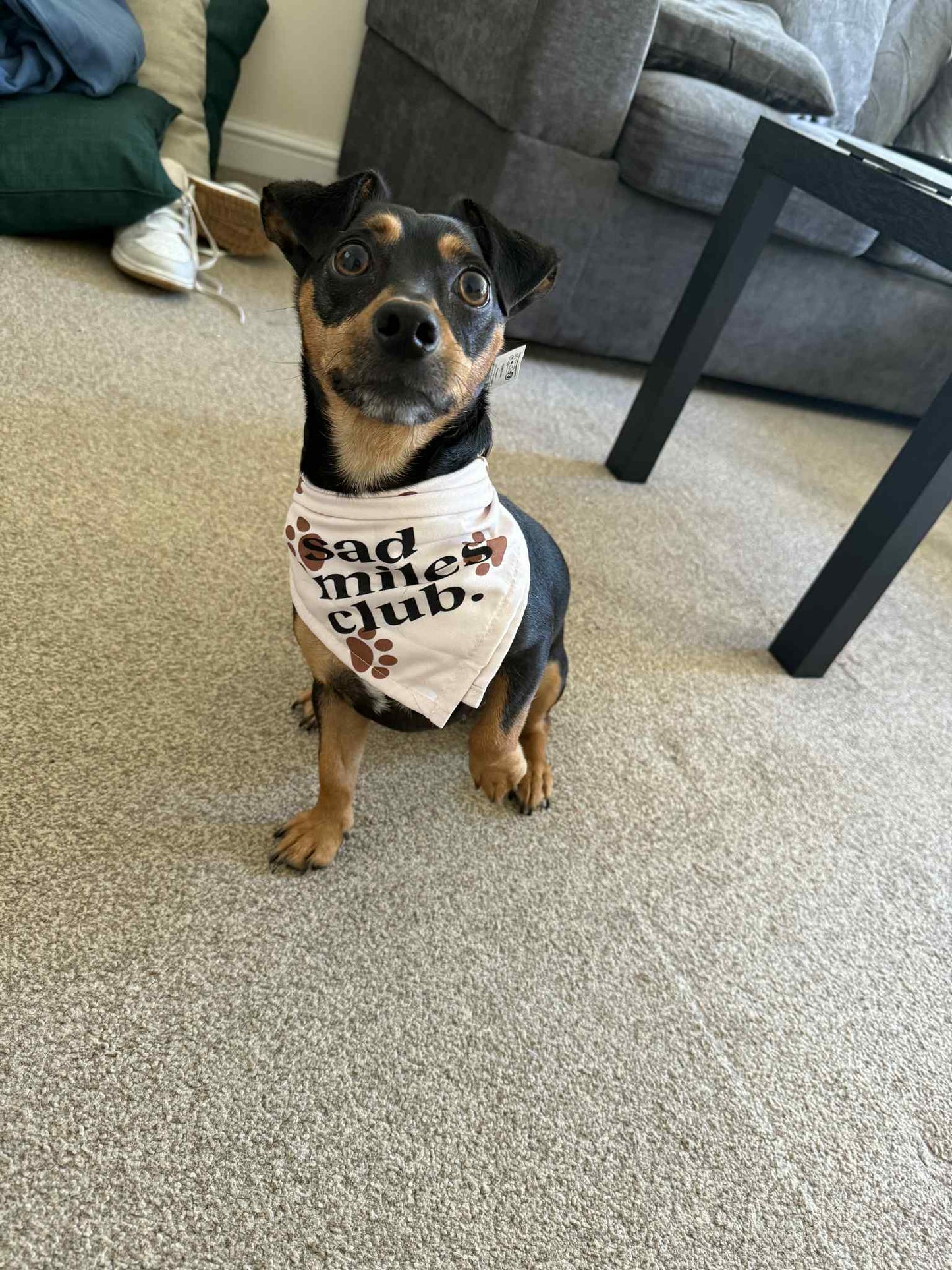 Paw Print Dog Bandana - sad miles club.